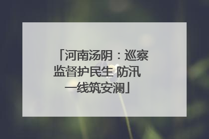 河南汤阴：巡察监督护民生 防汛一线筑安澜