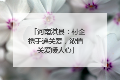 河南淇县：村企携手递关爱，浓情关爱暖人心