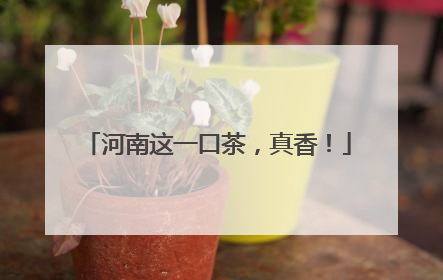 河南这一口茶，真香！