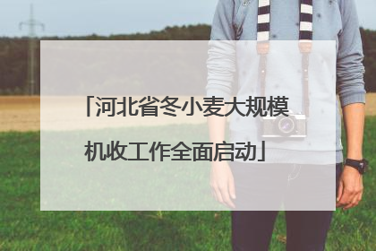 河北省冬小麦大规模机收工作全面启动