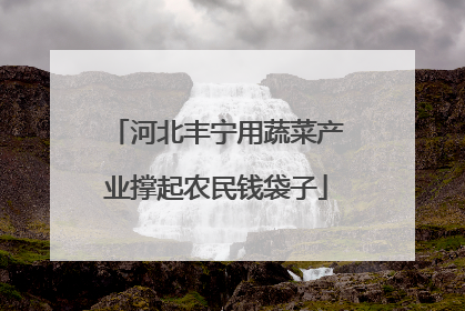 河北丰宁用蔬菜产业撑起农民钱袋子