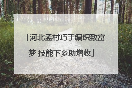 河北孟村巧手编织致富梦 技能下乡助增收