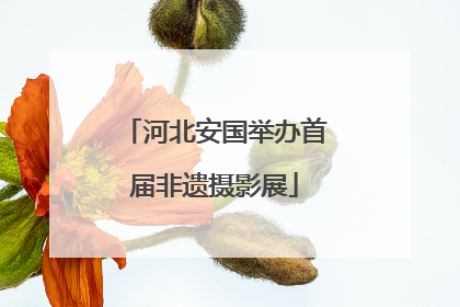 河北安国举办首届非遗摄影展
