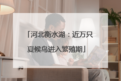 河北衡水湖：近万只夏候鸟进入繁殖期