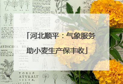 河北顺平：气象服务助小麦生产保丰收