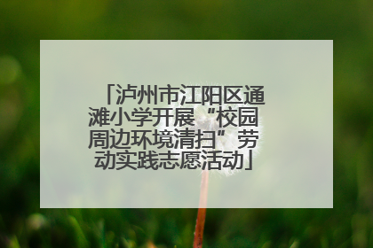 泸州市江阳区通滩小学开展“校园周边环境清扫”劳动实践志愿活动