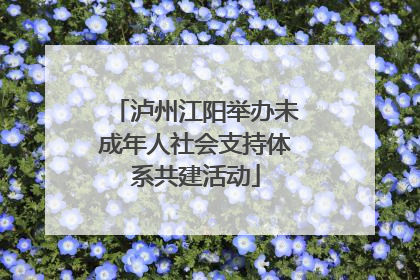 泸州江阳举办未成年人社会支持体系共建活动