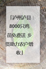 泸州泸县：8000只鸡苗免费送 乡贤助力农户增收