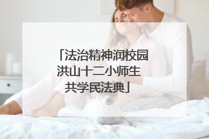 法治精神润校园 洪山十二小师生共学民法典