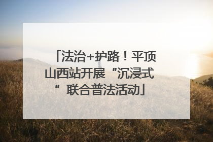 法治+护路！平顶山西站开展“沉浸式”联合普法活动