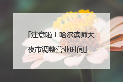 注意啦！哈尔滨师大夜市调整营业时间
