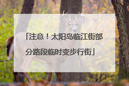 注意！太阳岛临江街部分路段临时变步行街