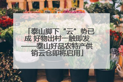 泰山脚下“云”势已成 好物出村一触即发——泰山好品农特产供销云仓即将启用