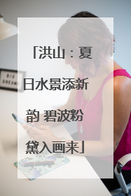 洪山：夏日水景添新韵 碧波粉黛入画来