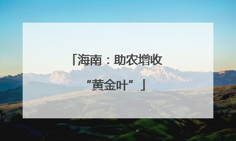 海南：助农增收 “黄金叶”