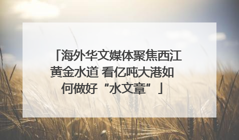 海外华文媒体聚焦西江黄金水道 看亿吨大港如何做好“水文章”