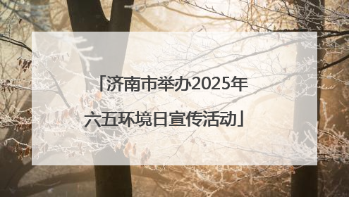 济南市举办2025年六五环境日宣传活动
