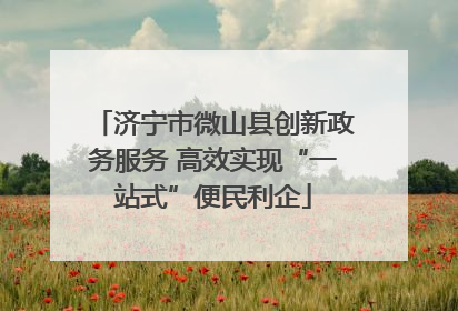 济宁市微山县创新政务服务 高效实现“一站式”便民利企
