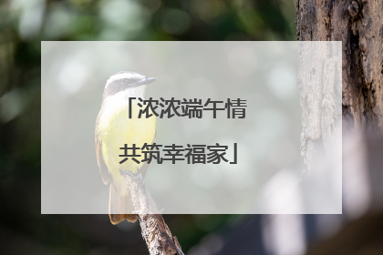 浓浓端午情 共筑幸福家