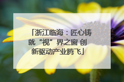 浙江临海：匠心铸就“视”界之窗 创新驱动产业腾飞