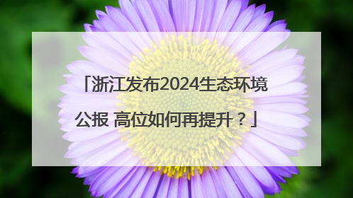 浙江发布2024生态环境公报 高位如何再提升？