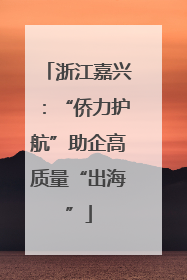 浙江嘉兴：“侨力护航”助企高质量“出海”