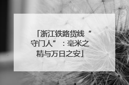 浙江铁路货线“守门人”：毫米之精与万日之安