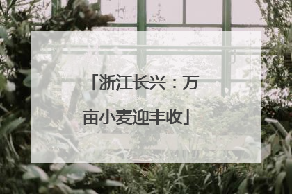 浙江长兴：万亩小麦迎丰收