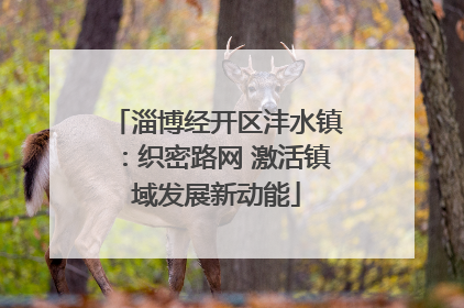 淄博经开区沣水镇：织密路网 激活镇域发展新动能