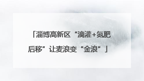 淄博高新区“滴灌+氮肥后移”让麦浪变“金浪”