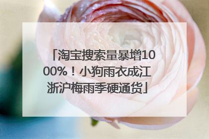 淘宝搜索量暴增1000%！小狗雨衣成江浙沪梅雨季硬通货