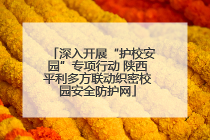 深入开展“护校安园”专项行动 陕西平利多方联动织密校园安全防护网