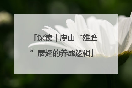 深读｜虞山“雄鹰”展翅的养成逻辑