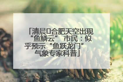 清晨﻿合肥天空出现“鱼鳞云” 市民：似乎预示“鱼跃龙门” 气象专家科普