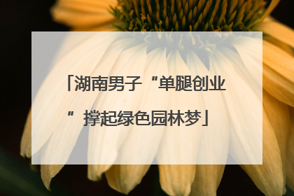 湖南男子“单腿创业”撑起绿色园林梦