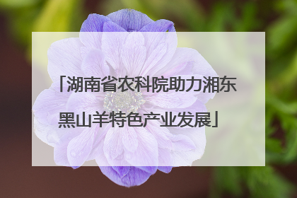 湖南省农科院助力湘东黑山羊特色产业发展