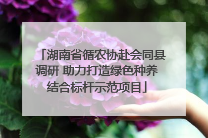 湖南省循农协赴会同县调研 助力打造绿色种养结合标杆示范项目