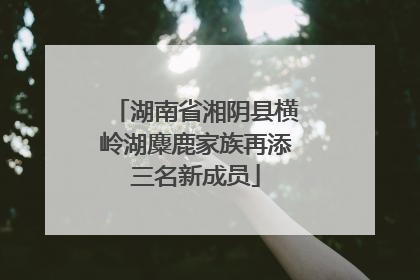 湖南省湘阴县横岭湖麋鹿家族再添三名新成员