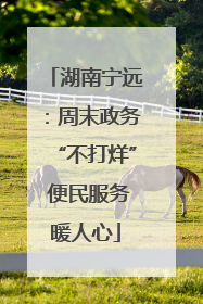 湖南宁远：周末政务“不打烊” 便民服务暖人心
