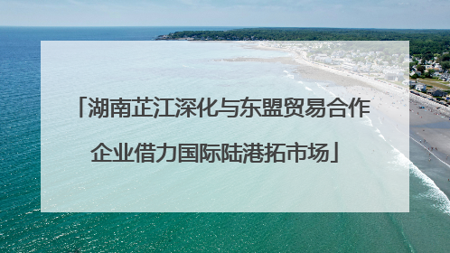 湖南芷江深化与东盟贸易合作 企业借力国际陆港拓市场