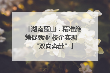 湖南蓝山：精准施策促就业 校企实现“双向奔赴”