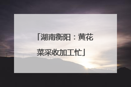 湖南衡阳：黄花菜采收加工忙