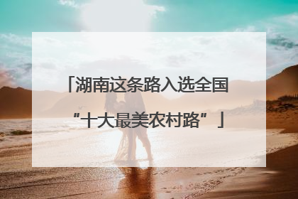 湖南这条路入选全国“十大最美农村路”