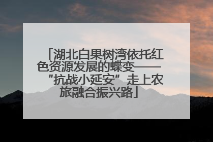 湖北白果树湾依托红色资源发展的蝶变——“抗战小延安”走上农旅融合振兴路