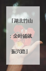 湖北竹山：金叶铺就振兴路