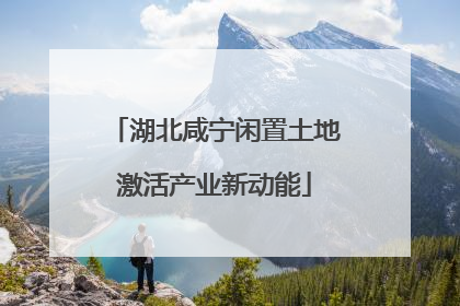 湖北咸宁闲置土地激活产业新动能