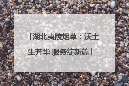 湖北夷陵烟草：沃土生芳华 服务绽新篇