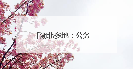 湖北多地：公务一律扫码吃食堂！