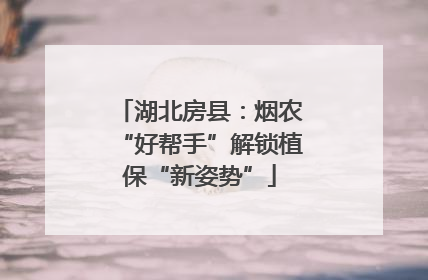 湖北房县：烟农“好帮手”解锁植保“新姿势”