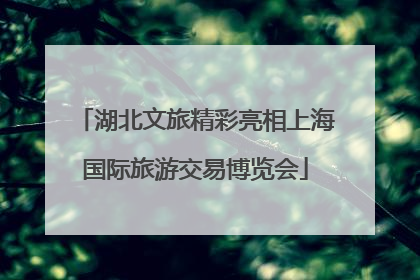 湖北文旅精彩亮相上海国际旅游交易博览会
